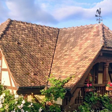 Gite Les Cerisiers Triembach-au-Val Exterior foto